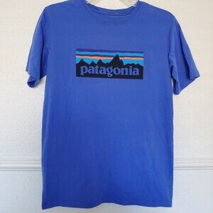 Patagonia Boys XXL (16-18) P-6 Logo Organic T-Shirt, Bayou Blue